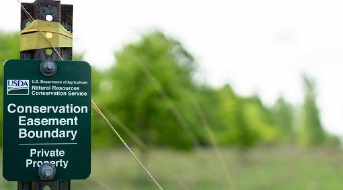 Tax Court Halts Deduction for Conservation Easement