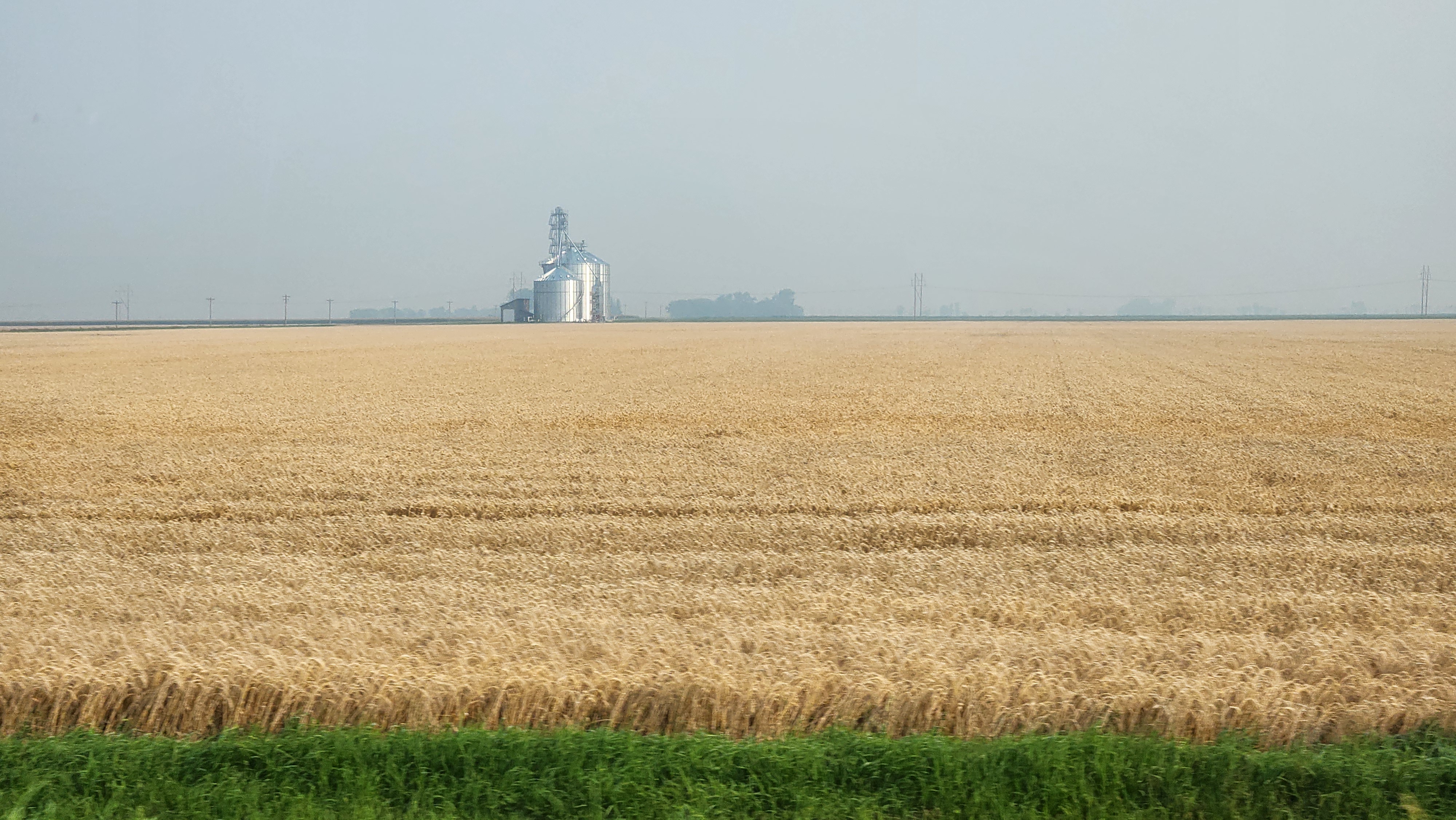AICPA Asks IRS give Tax Penalty Relief to Farmers Impacted by Form 8995 Changes