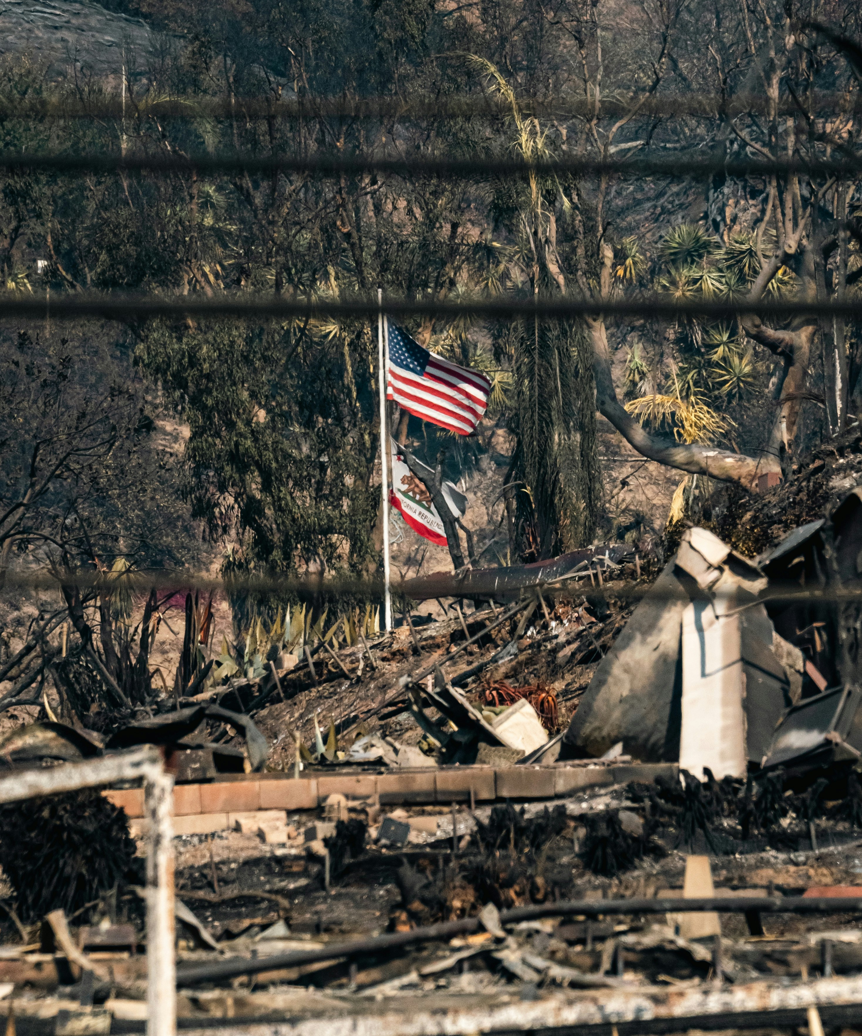 One Year After the California Fires: How Small Businesses Rebuilt When Insurance Failed Them
