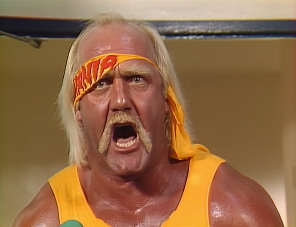 Hulk Hogan’s Former Accountant Accused of Embezzling More Than $890,000