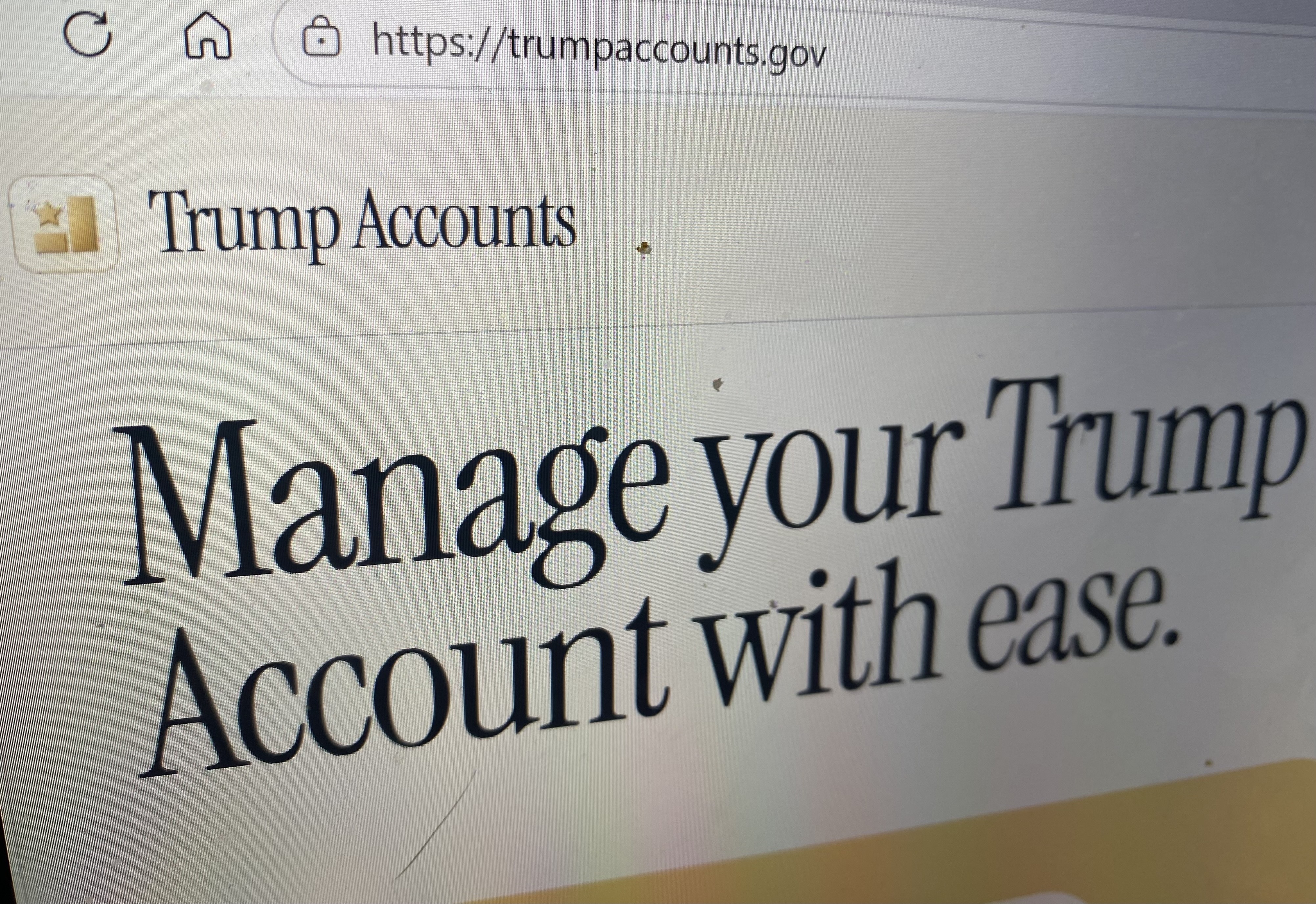 Do Scammers Impersonate Trump Accounts?