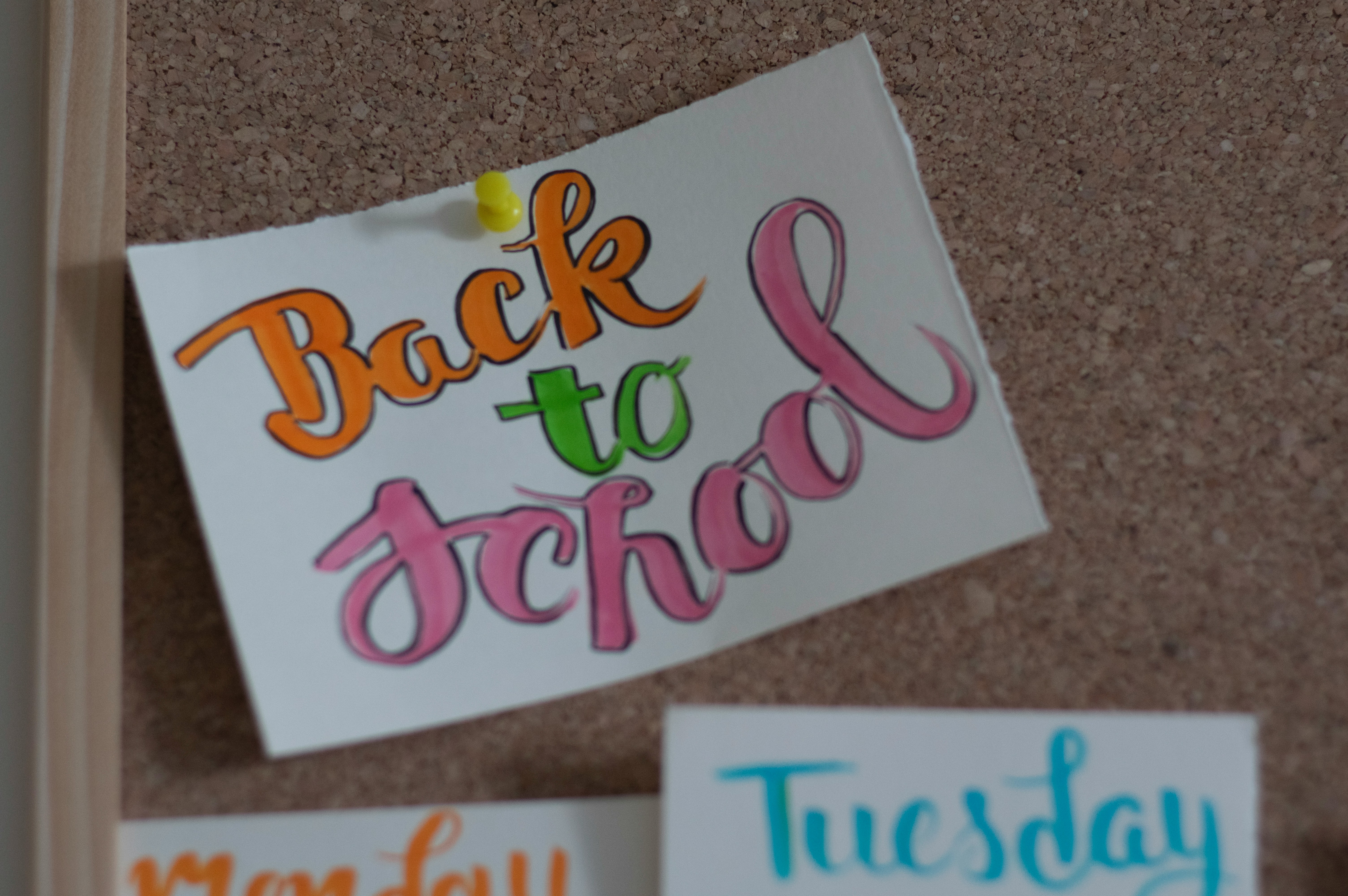 IRS-CI Urges Families to Stay Vigilant Against Back‑to‑School Scams
