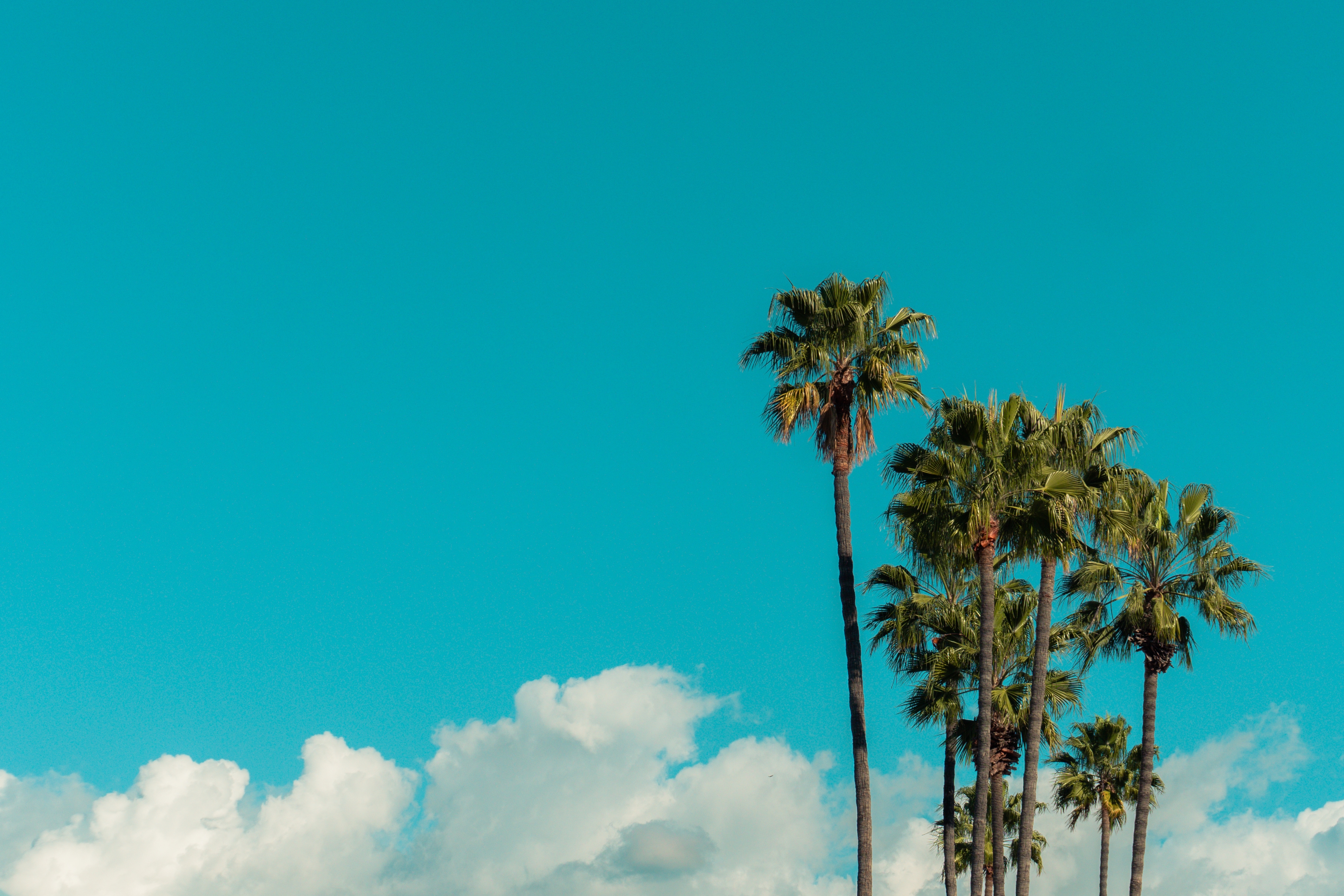 California is One of the Worst States for Retirement for 2026. What is No. 1?