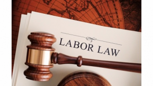 Labor_Employment_Law_Alaniz