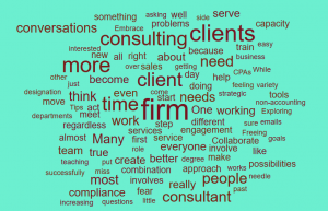 Word Cloud Firm Consulting