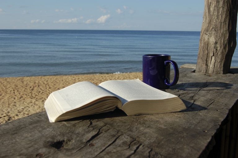 beach book coffee mug 1  57a0ecafc84a7
