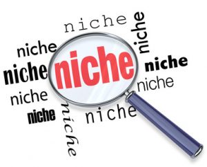 What Is a Niche 1  57fbdc844354c