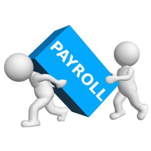 Professional Payroll Services Can Help Small Businesses 1  58beeba14847e