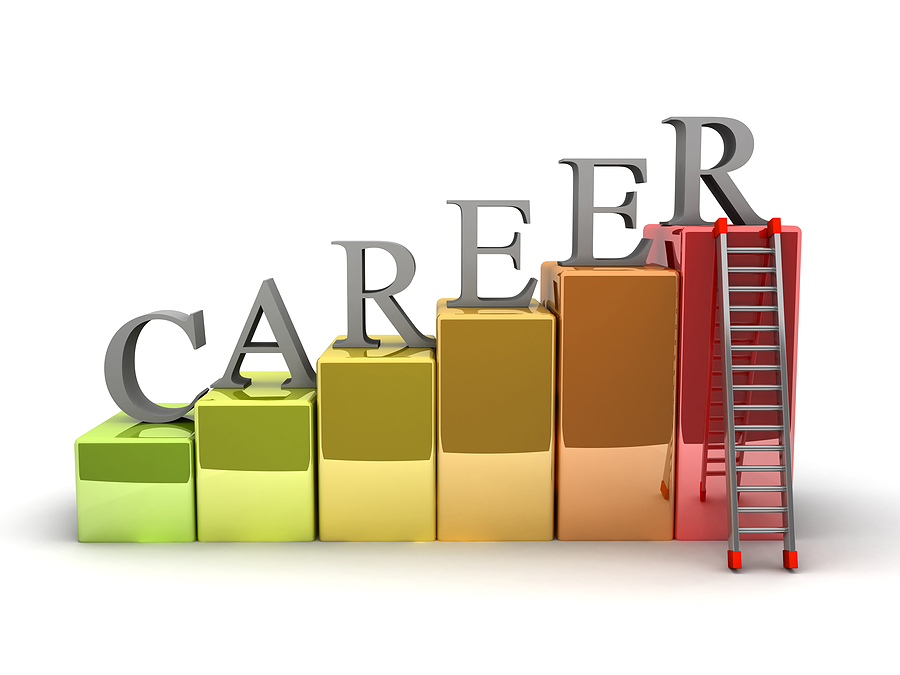 Career Ladder 1  58f7ba00eb936