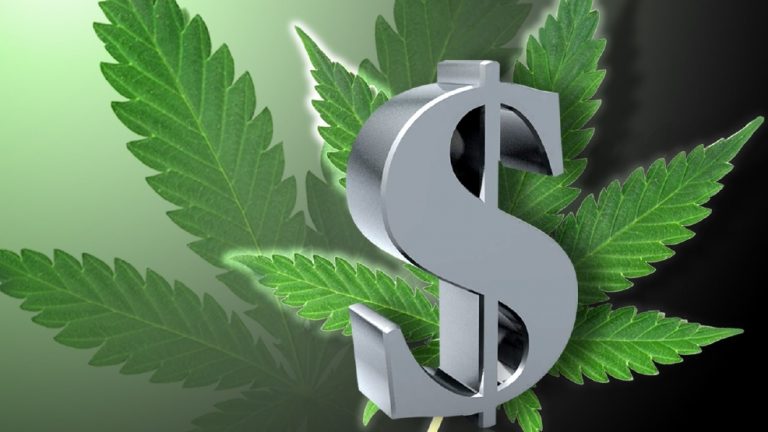 Cannabis Taxes Money