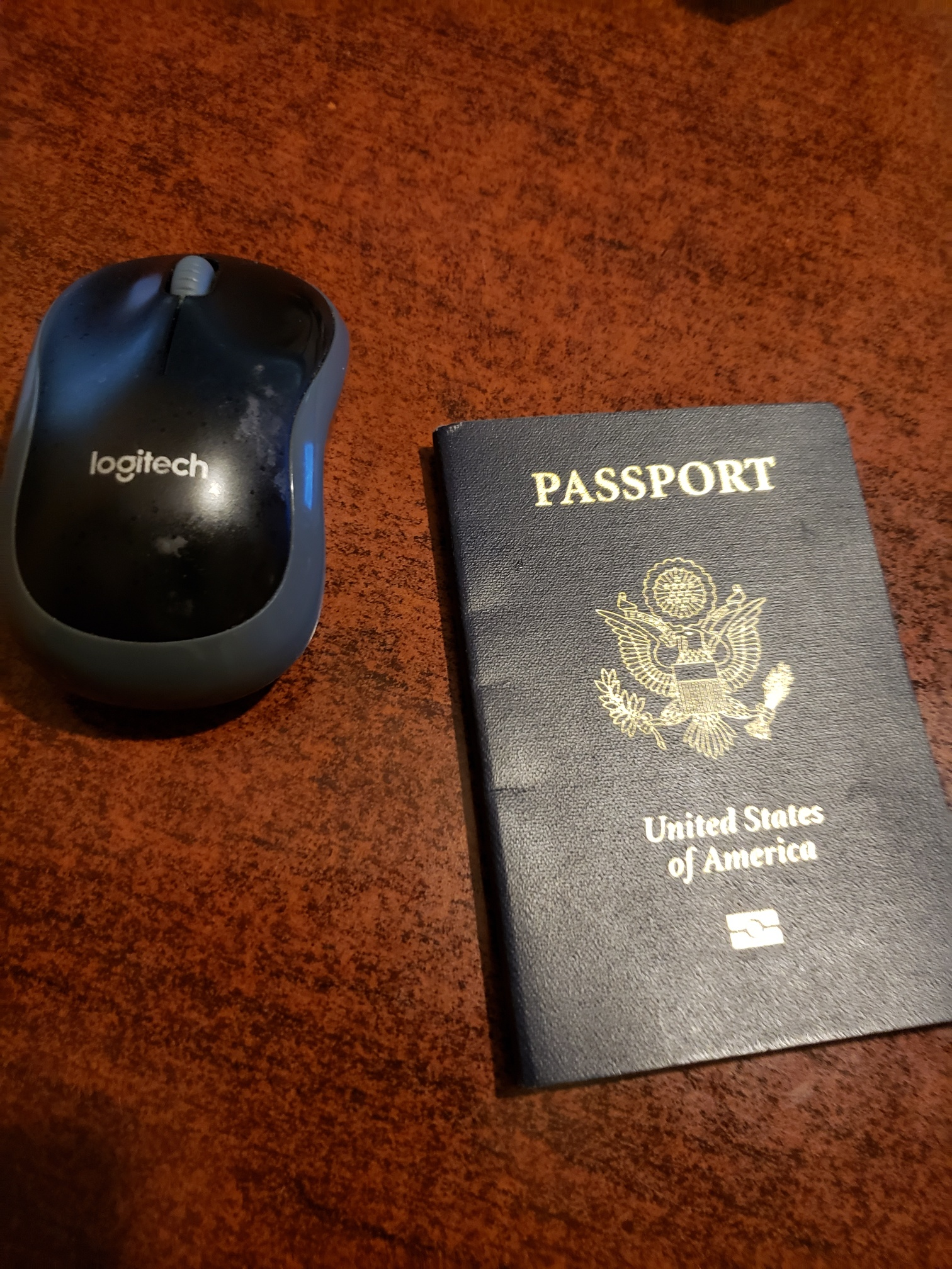 passport mouse