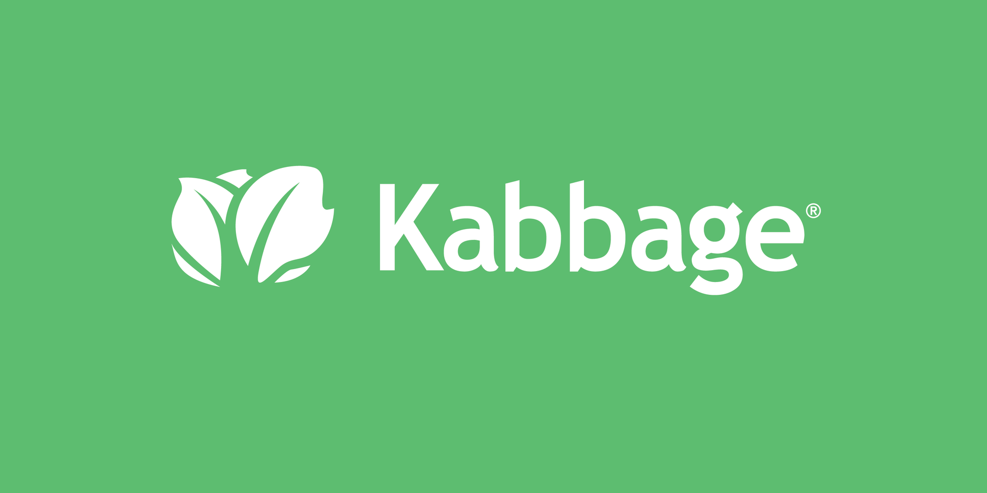 kabbage_logo_horizontal_reverse