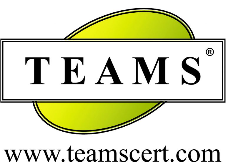 teamswithwebsite