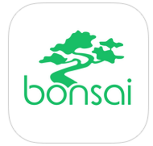 Bonsai Tax 55e9aeb18bc98
