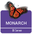 logo_Monarch_bi_server_lg1